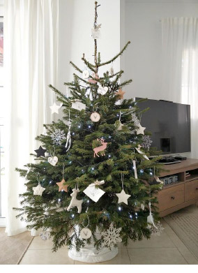 Natale 2017 10